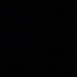 Meet your Posher, Donald